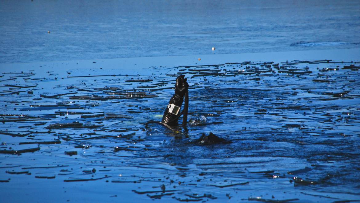 Баренцево море