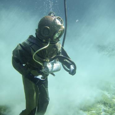 История дайвинга